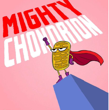 金屬質(zhì)感分割線 金屬質(zhì)感分割線