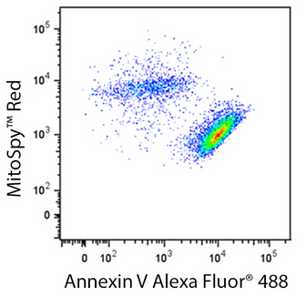 圖片11.png 圖片11.png